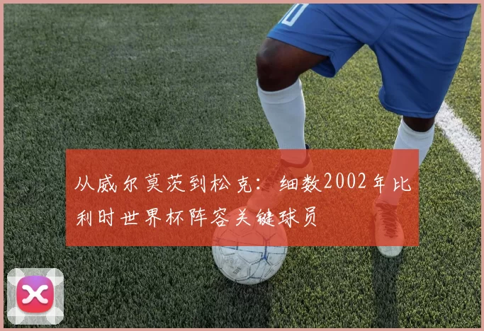 从威尔莫茨到松克：细数2002年比利时世界杯阵容关键球员