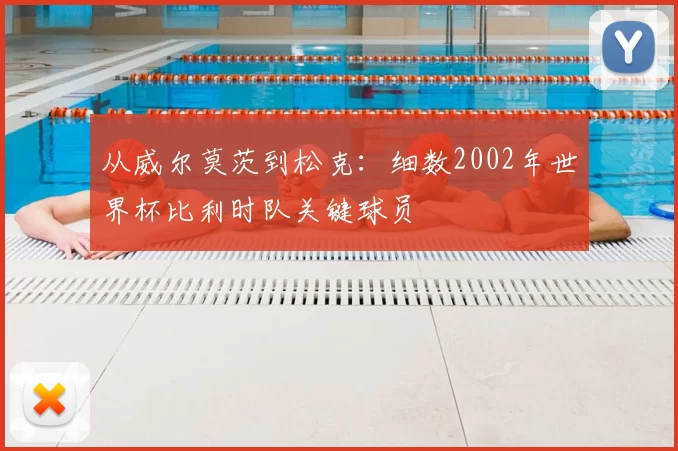 从威尔莫茨到松克：细数2002年世界杯比利时队关键球员