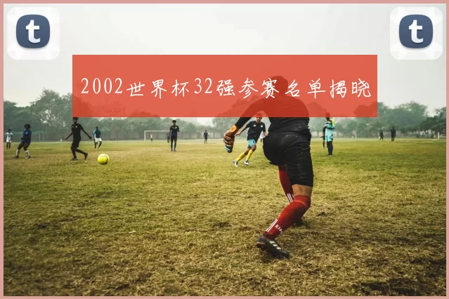 2002世界杯32强参赛名单揭晓