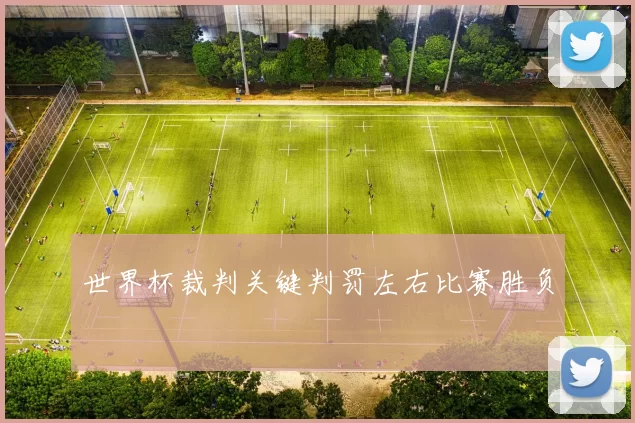 世界杯裁判关键判罚左右比赛胜负