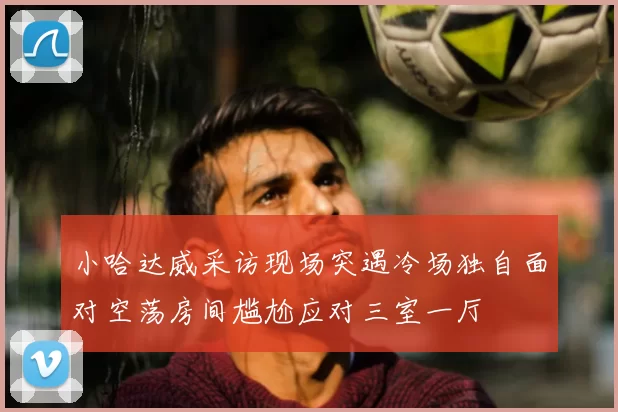 小哈达威采访现场突遇冷场独自面对空荡房间尴尬应对三室一厅