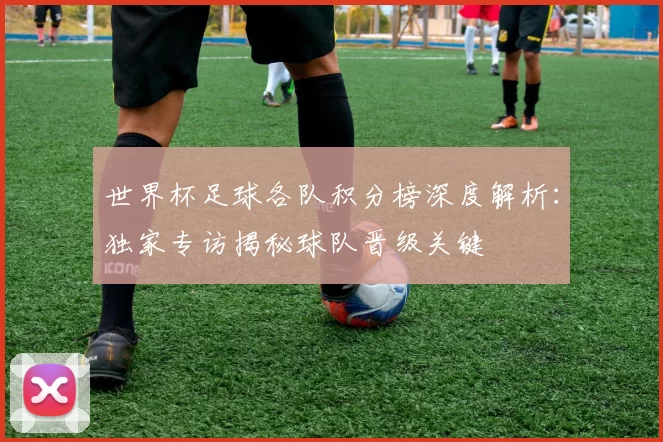 世界杯足球各队积分榜深度解析：独家专访揭秘球队晋级关键