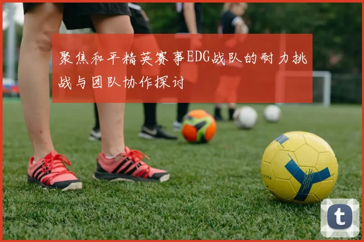 聚焦和平精英赛事EDG战队的耐力挑战与团队协作探讨