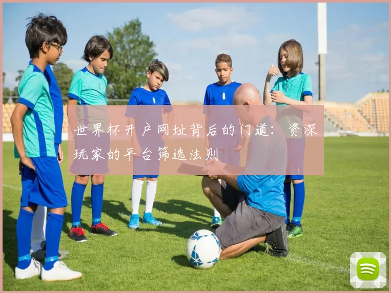 世界杯开户网址背后的门道：资深玩家的平台筛选法则