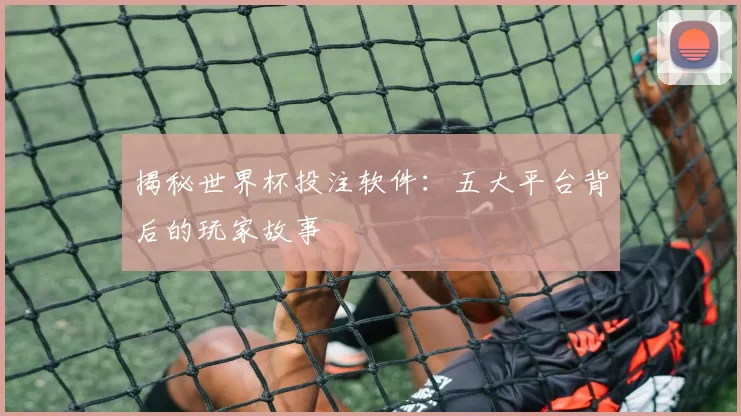 揭秘世界杯投注软件:五大平台背后的玩家故事