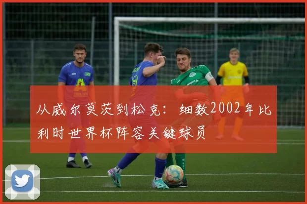 从威尔莫茨到松克：细数2002年比利时世界杯阵容关键球员