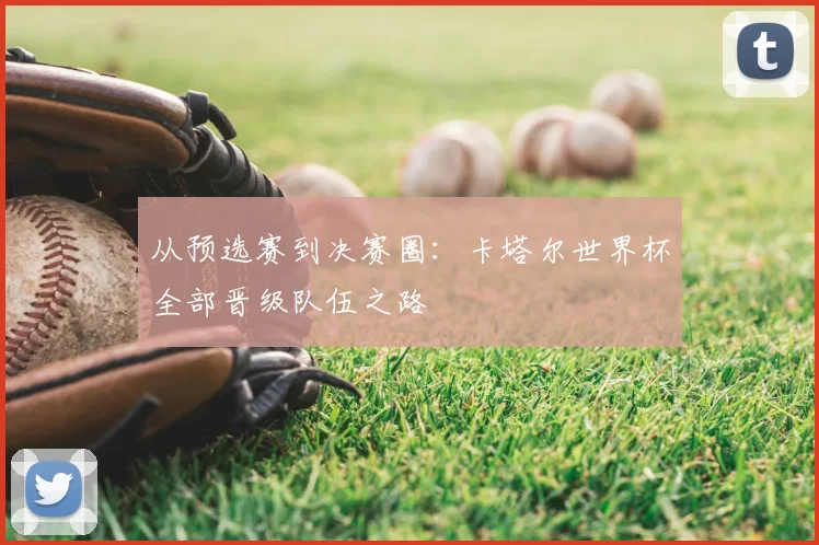 从预选赛到决赛圈：卡塔尔世界杯全部晋级队伍之路