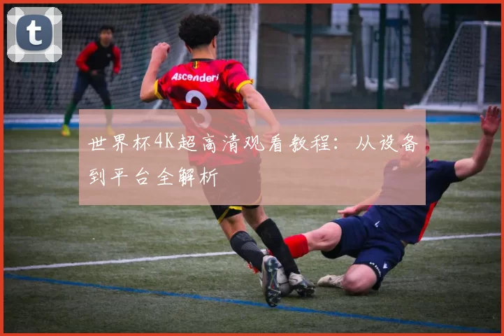 世界杯4K超高清观看教程：从设备到平台全解析