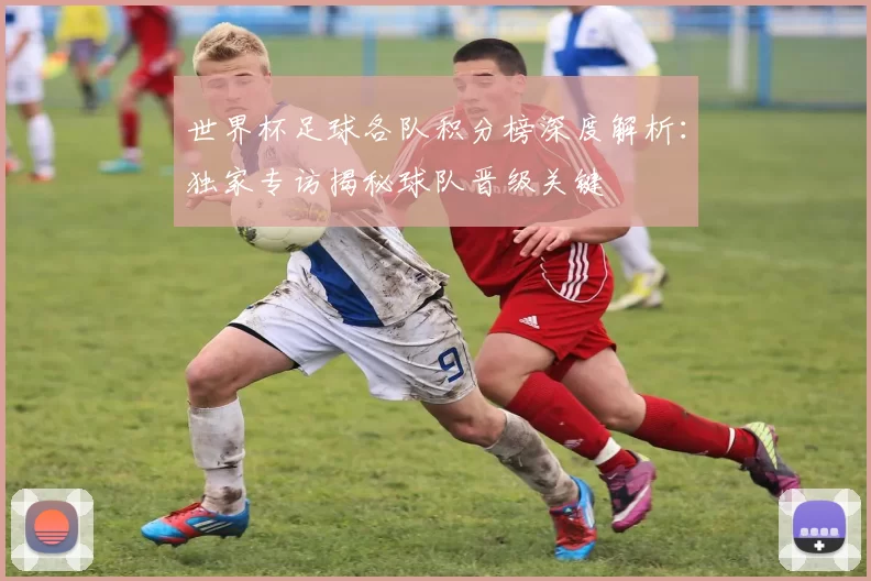 世界杯足球各队积分榜深度解析：独家专访揭秘球队晋级关键