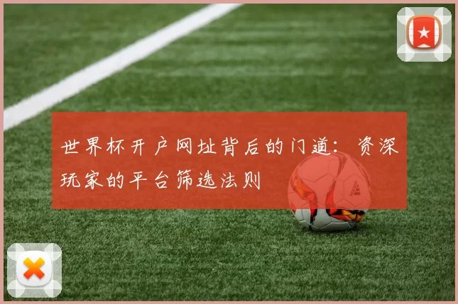 世界杯开户网址背后的门道：资深玩家的平台筛选法则