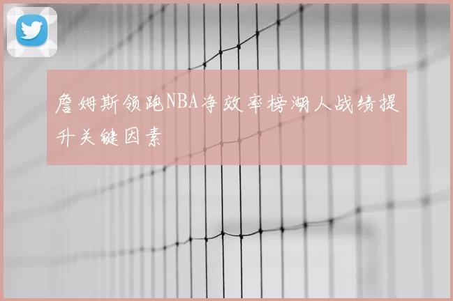 詹姆斯领跑NBA净效率榜湖人战绩提升关键因素